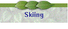 Skiing