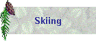 Skiing